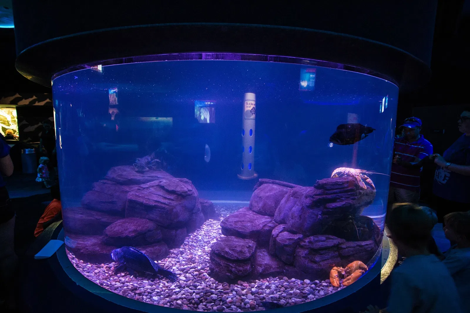 Ripley's Aquarium of Canada