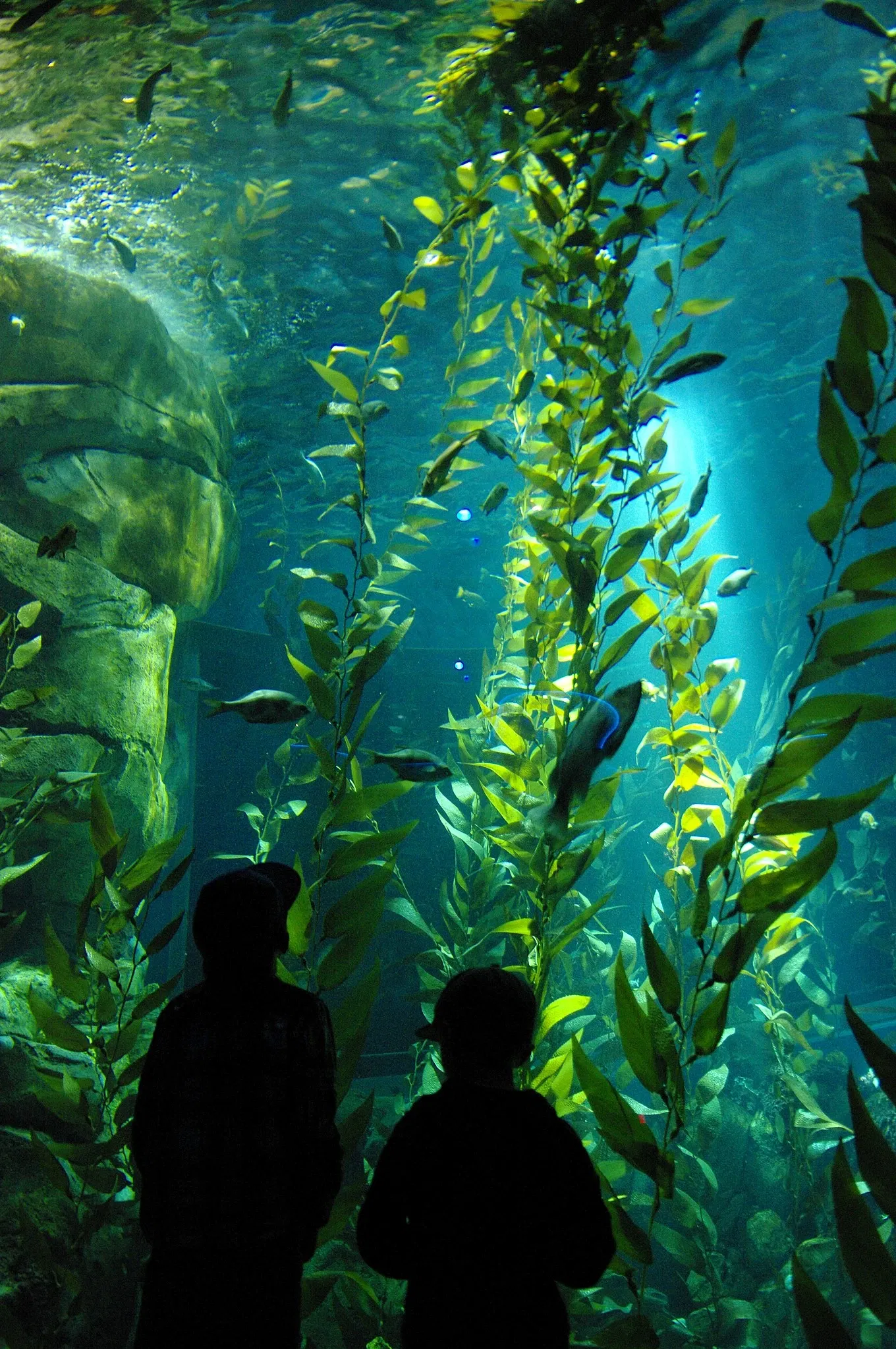 Ripley's Aquarium of Canada