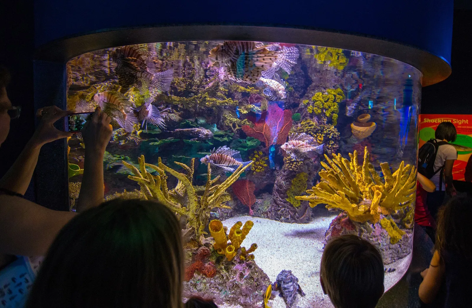 Ripley's Aquarium of Canada