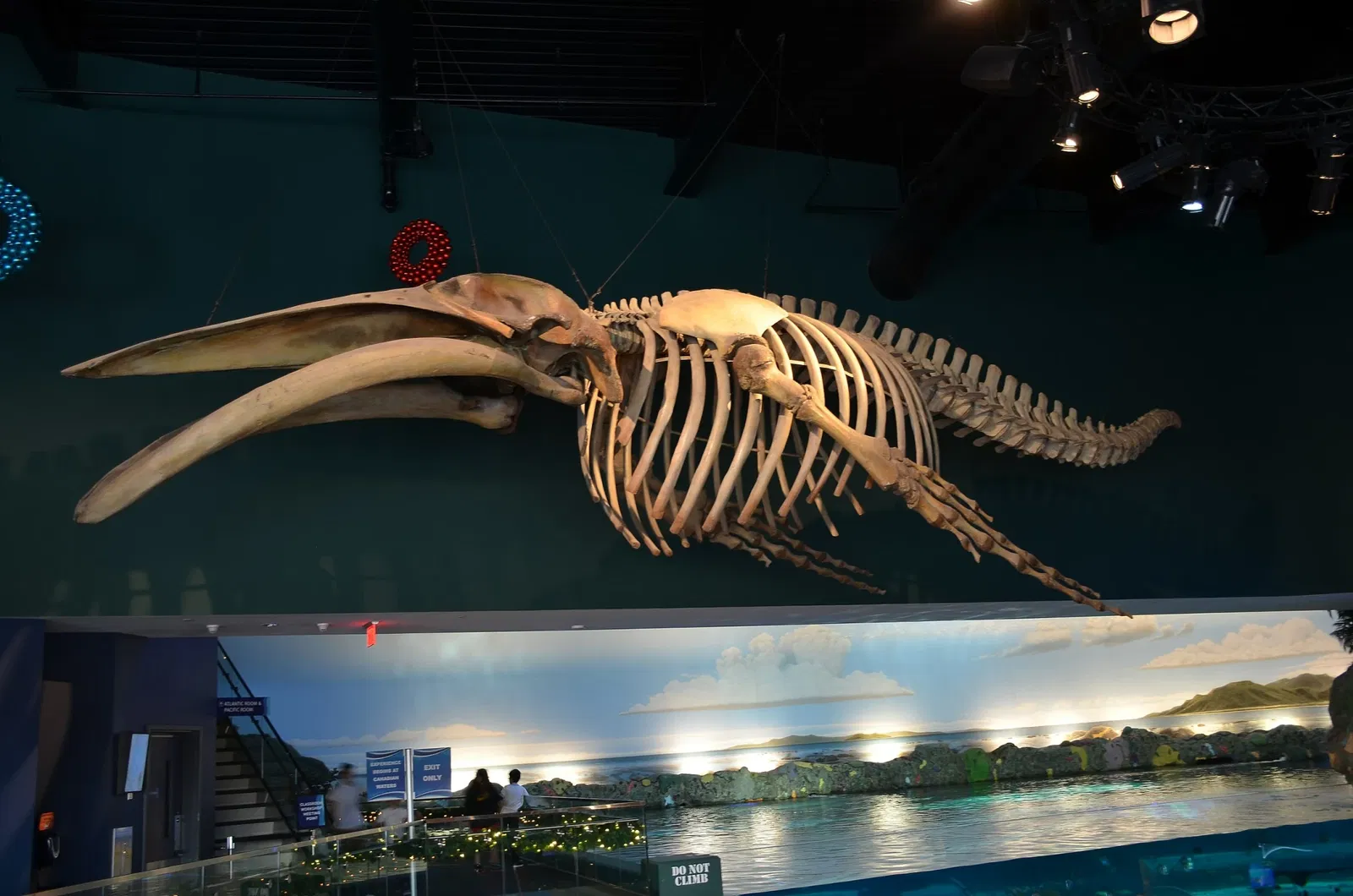 Ripley's Aquarium of Canada