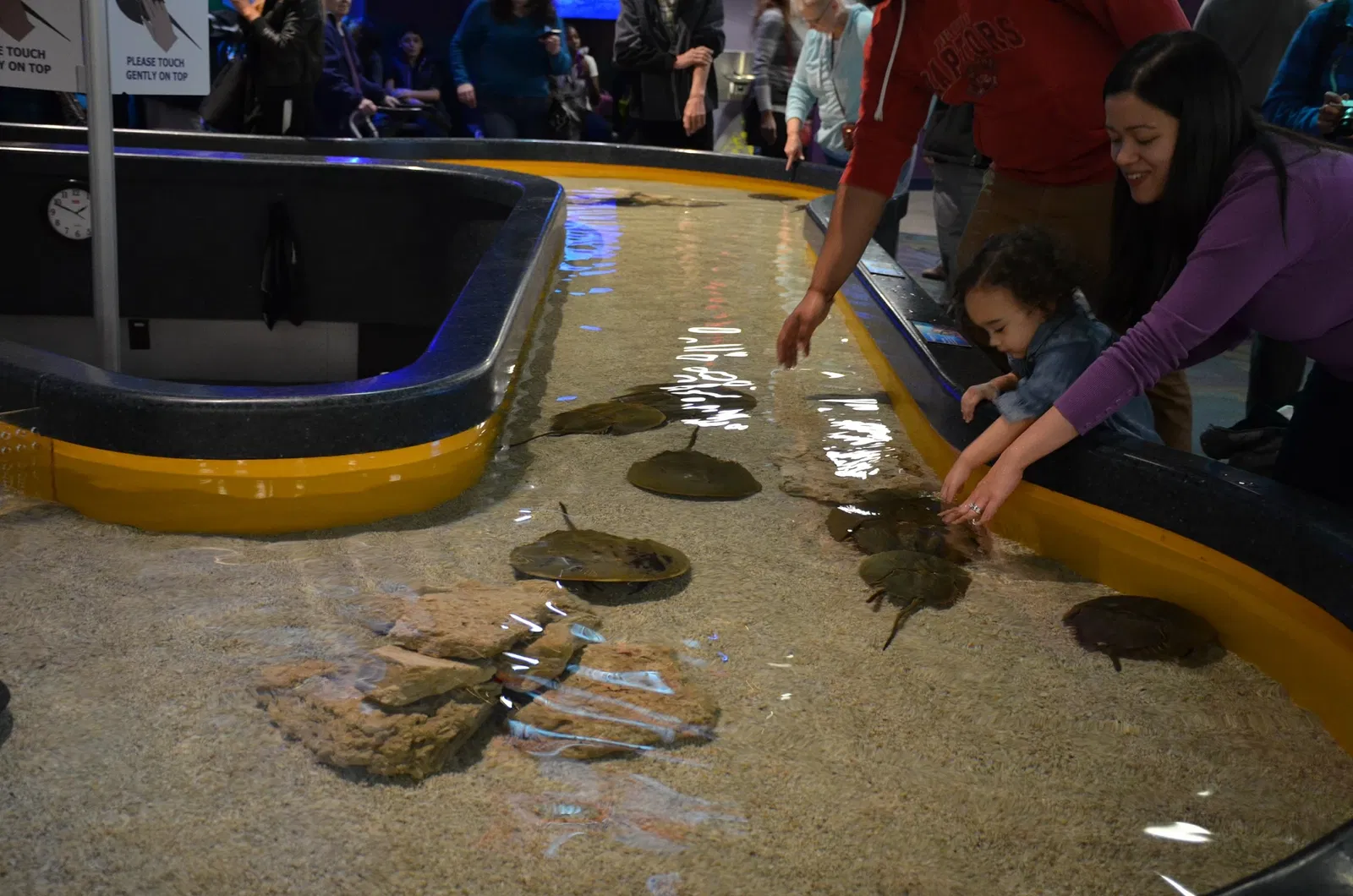 Ripley's Aquarium of Canada