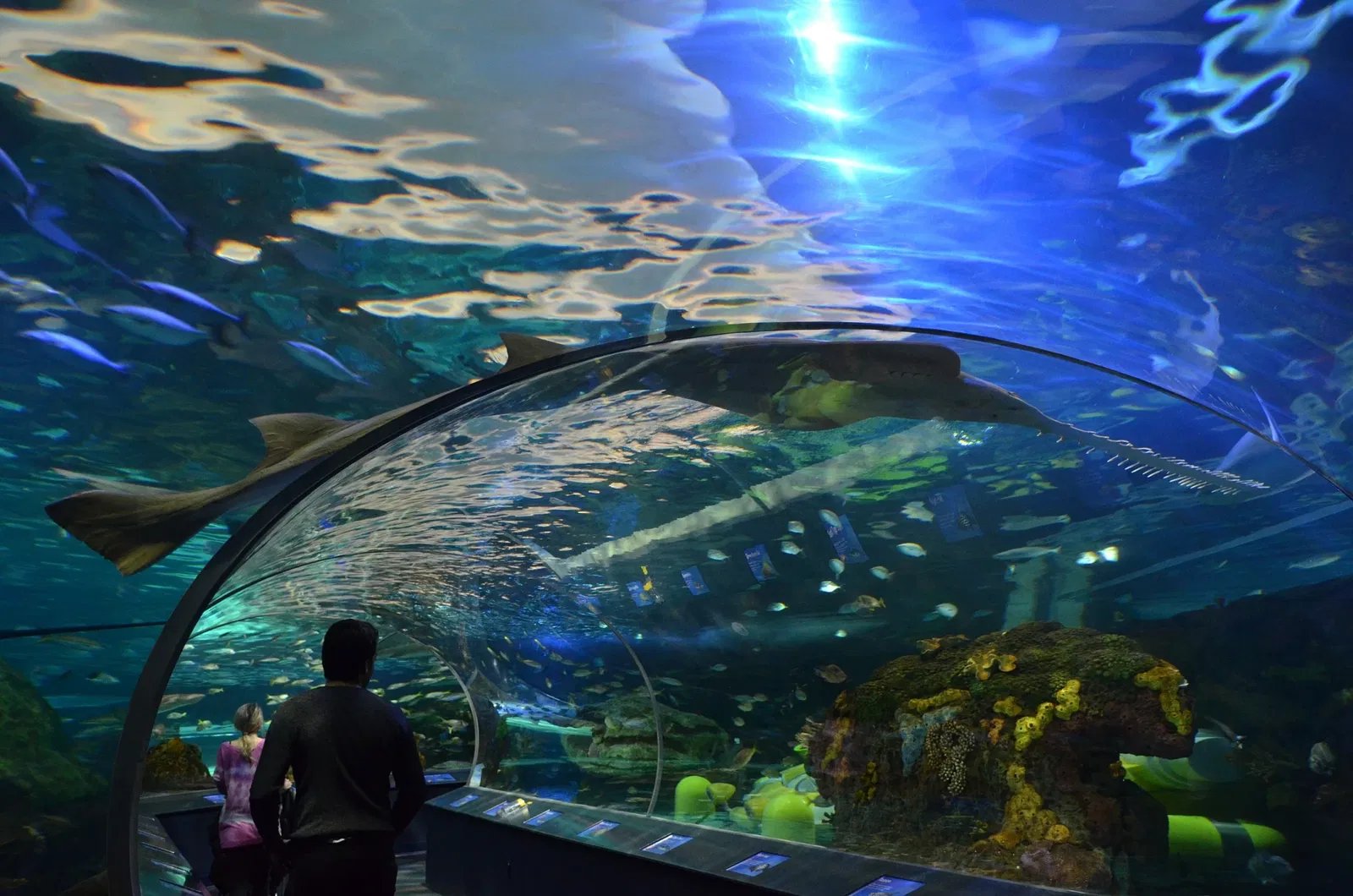 Ripley's Aquarium of Canada