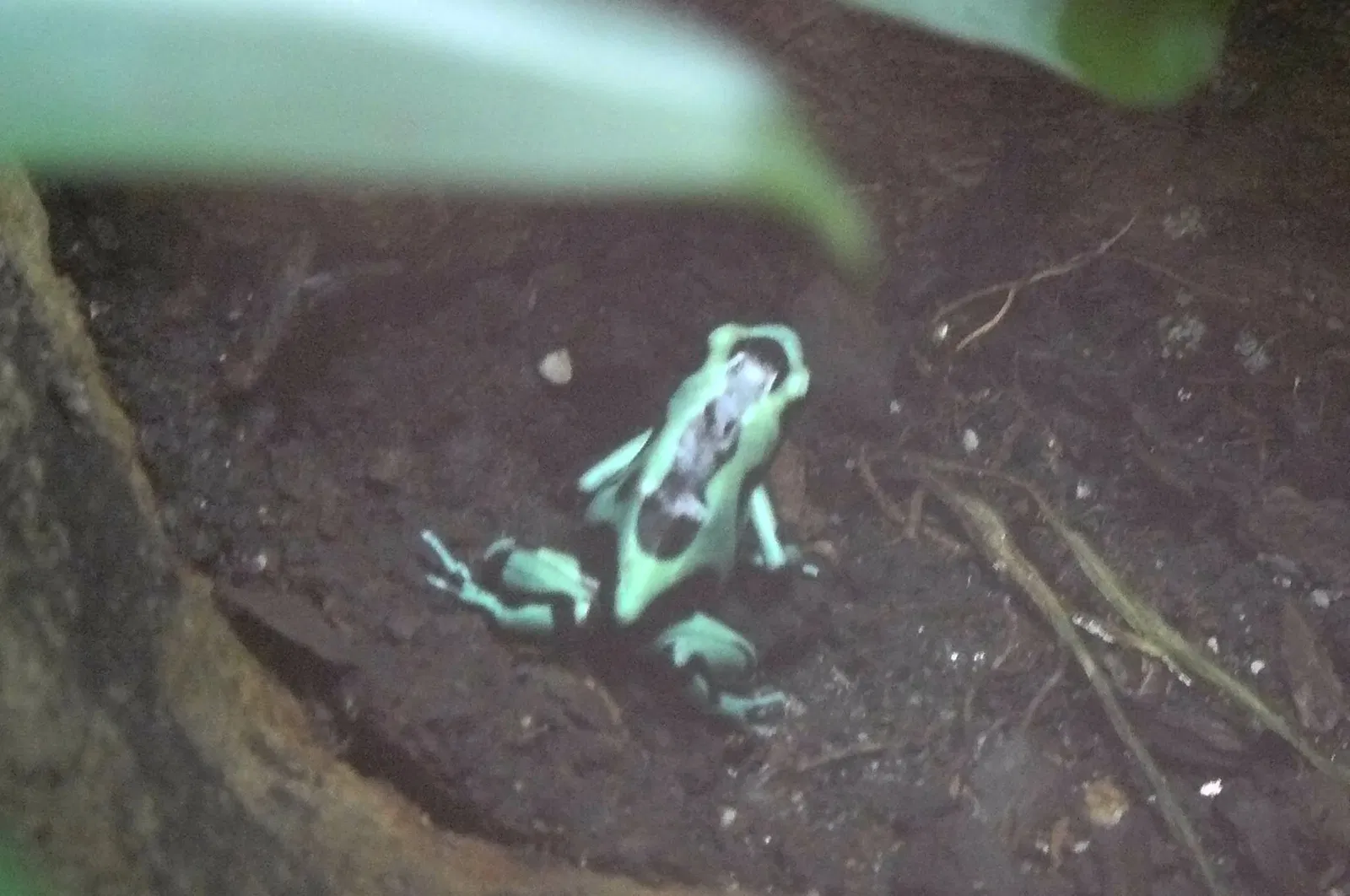 Centre des sciences de l'Ontario