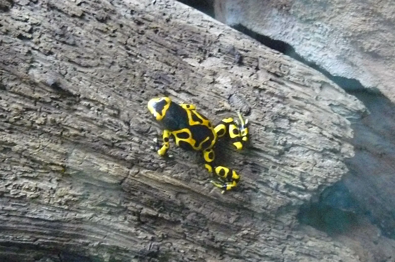 Ontario Science Centre