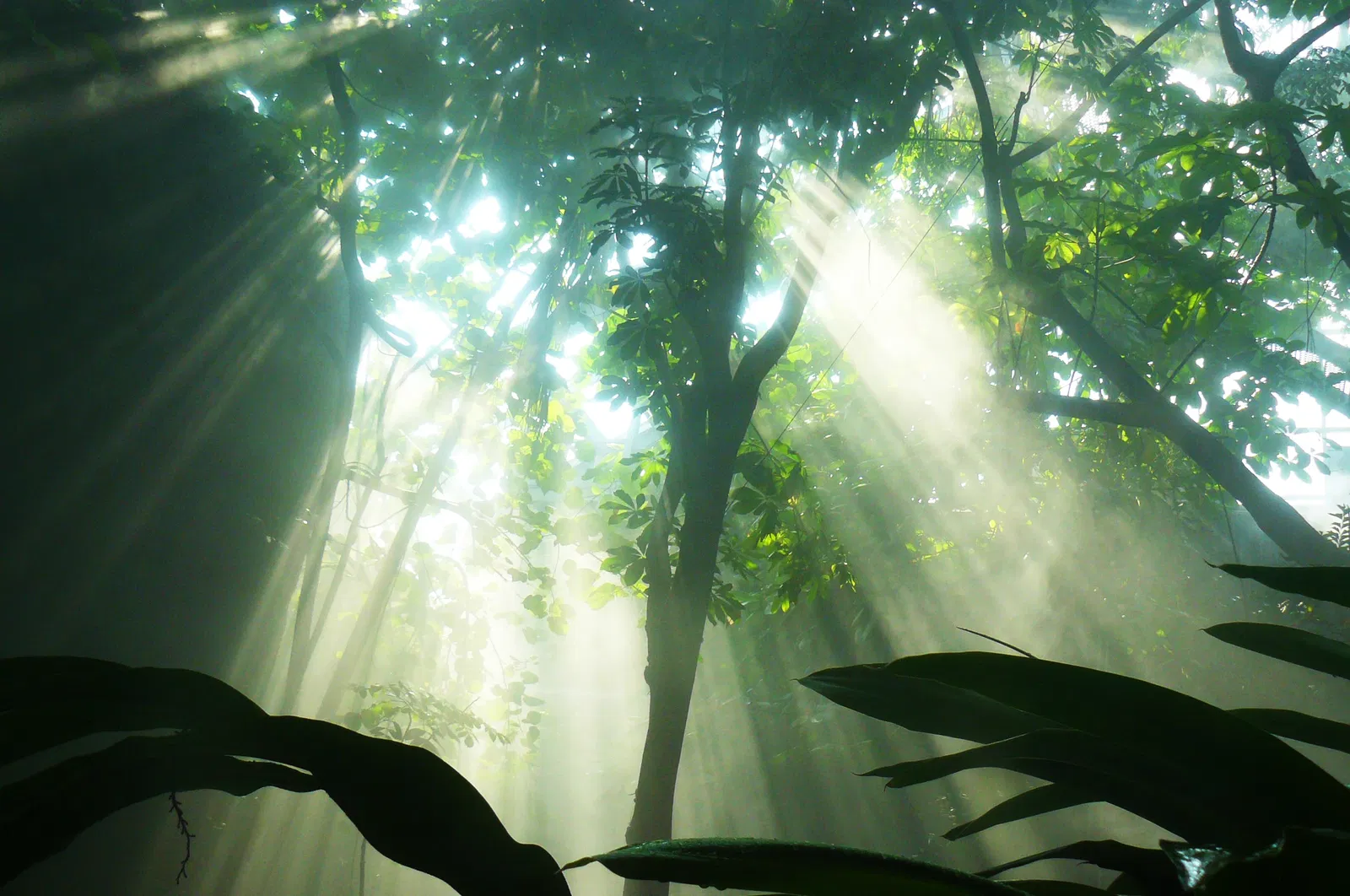 Ontario Science Centre