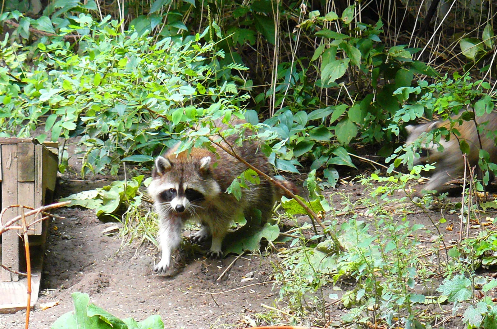 Ontario Science Centre