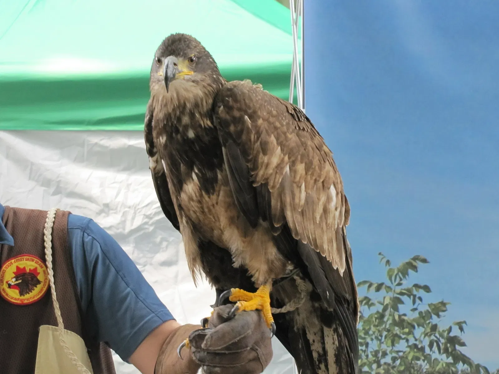 Ontario Science Centre