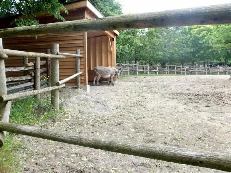 Riverdale Farm Toronto