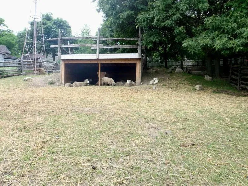 Riverdale Farm Toronto