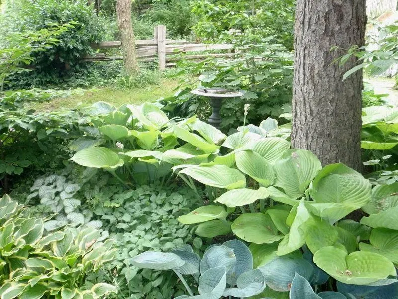 Riverdale Farm Toronto
