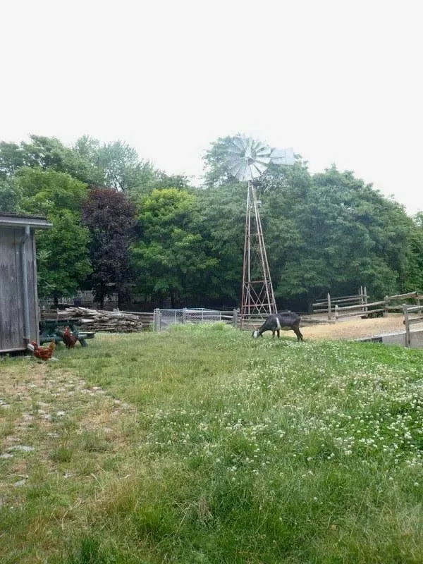 Riverdale Farm Toronto