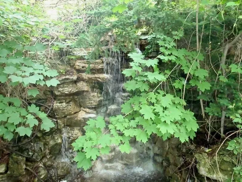 Riverdale Farm Toronto