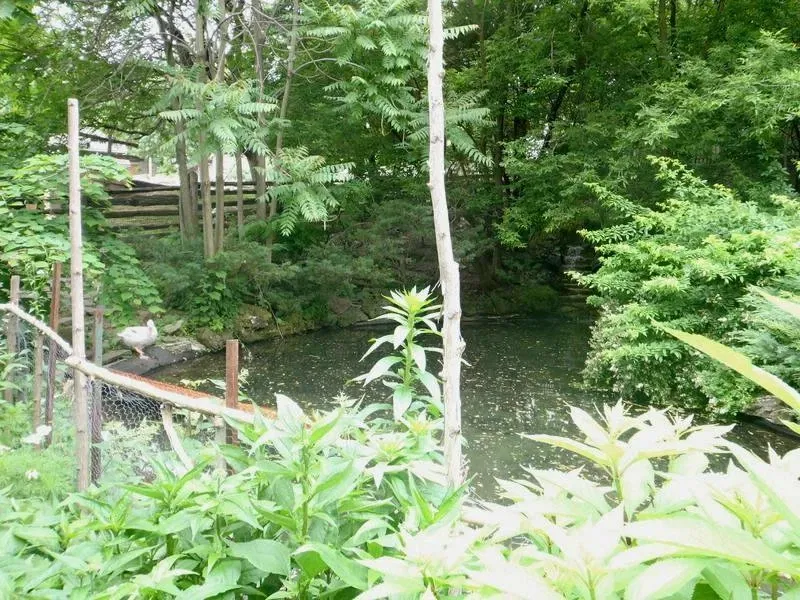 Riverdale Farm Toronto