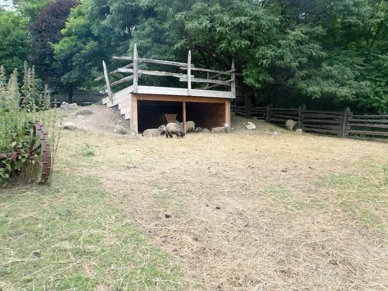 Riverdale Farm Toronto