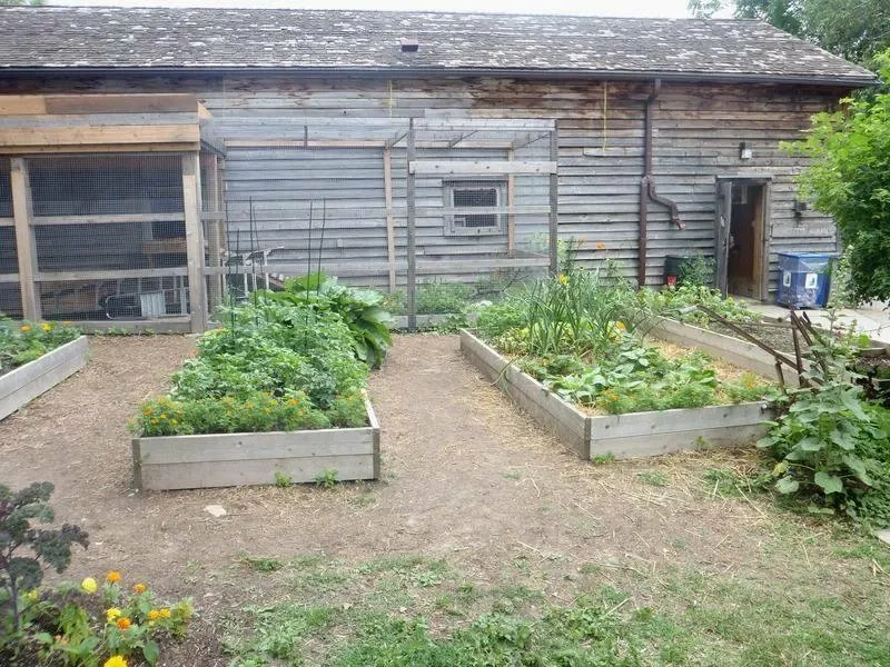 Riverdale Farm Toronto