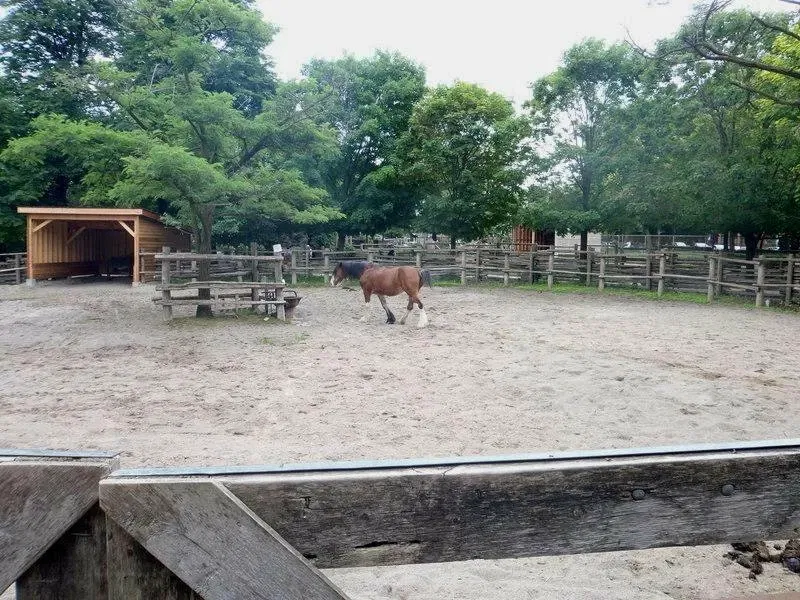Riverdale Farm Toronto
