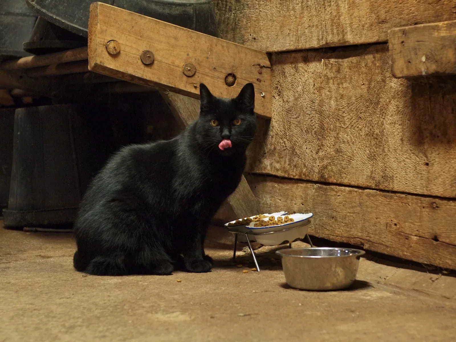 Riverdale Farm Toronto