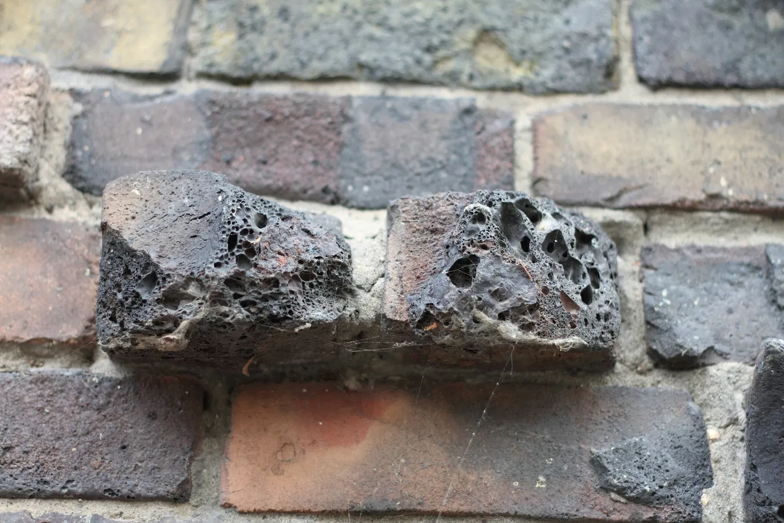 Riverdale Farm Toronto