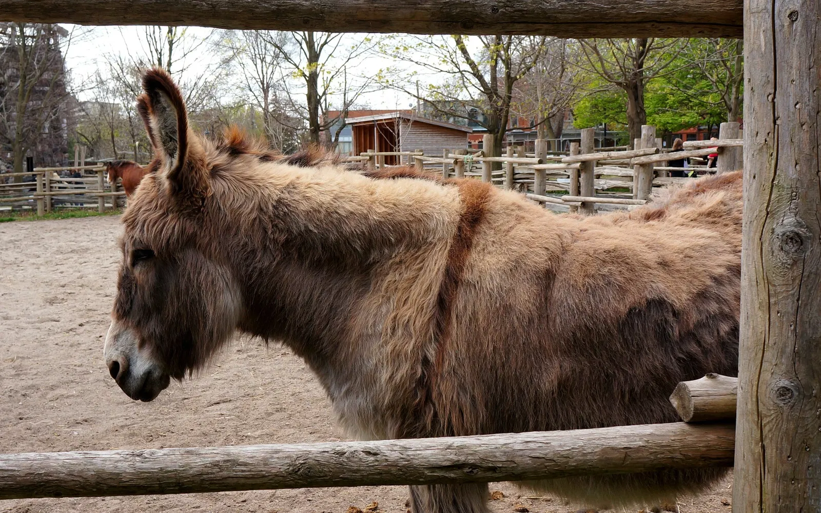 Riverdale Farm Toronto