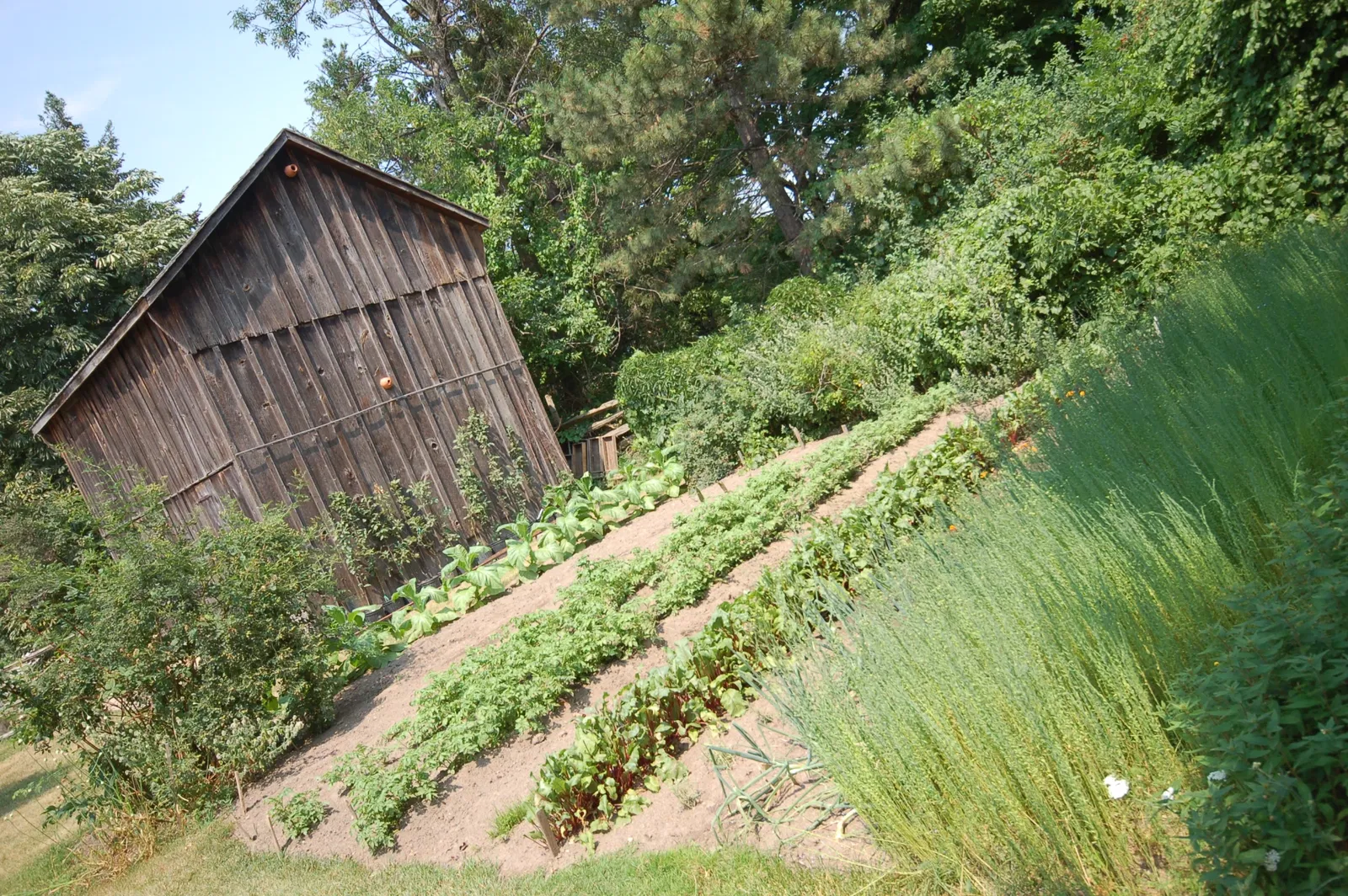 Black Creek Pioneer Village