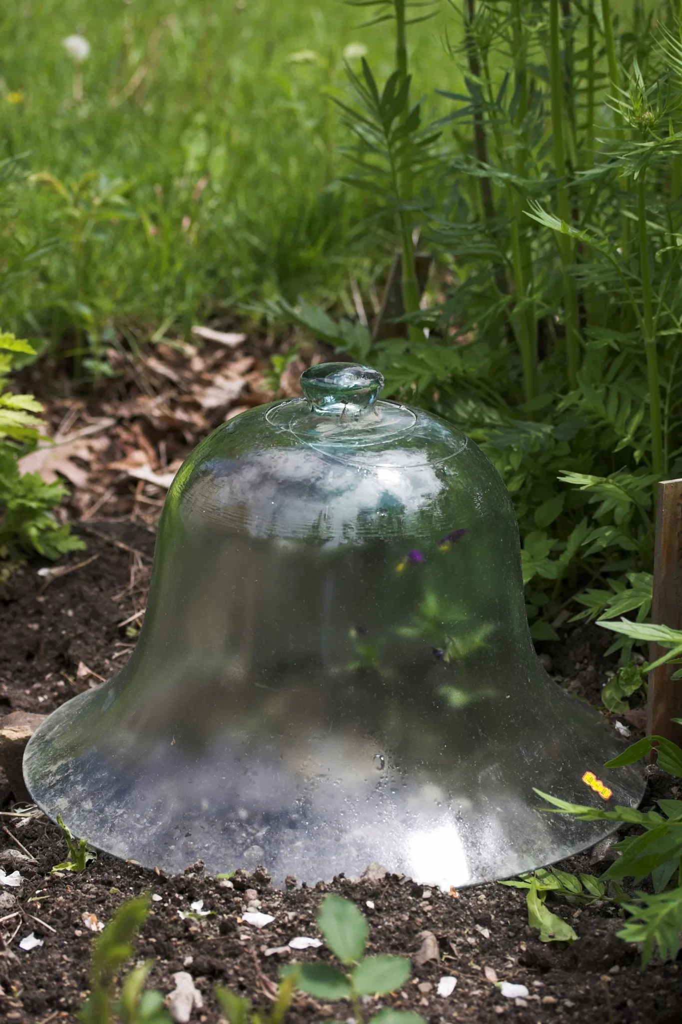 Black Creek Pioneer Village