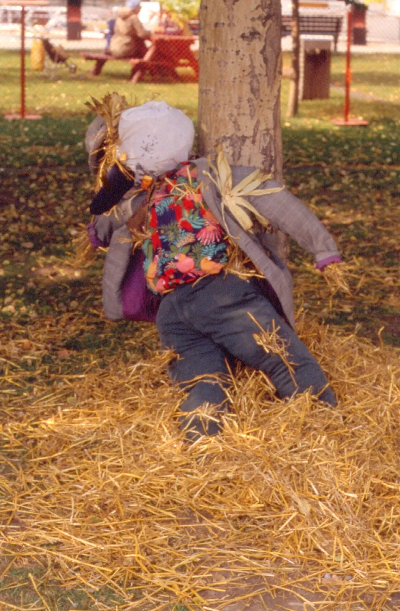 Black Creek Pioneer Village