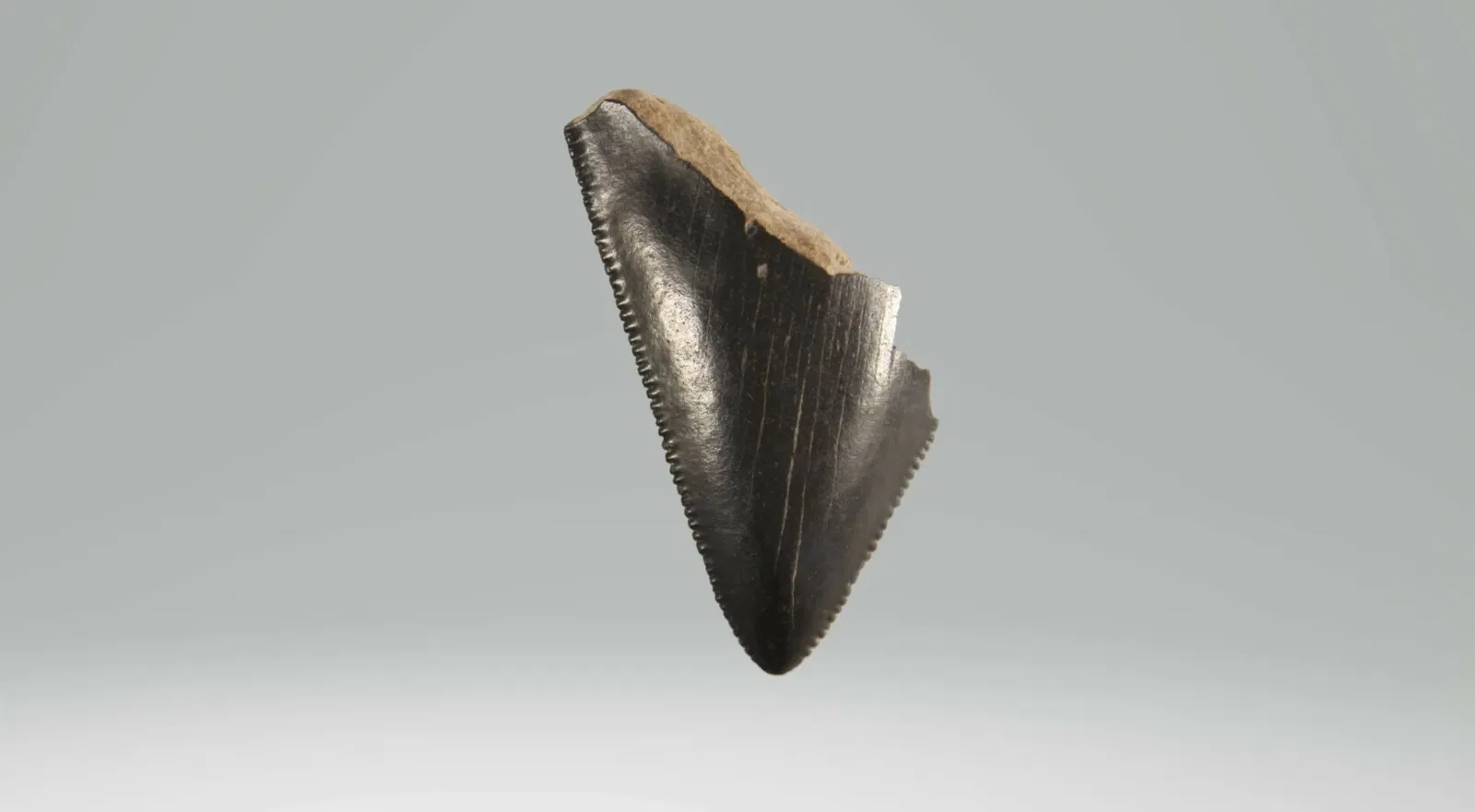 Hopewell Culture National Historical Park