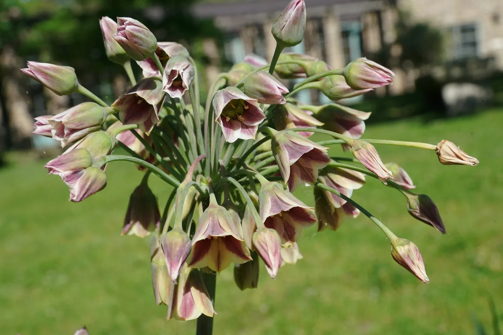 Gari Melchers Home and Studio