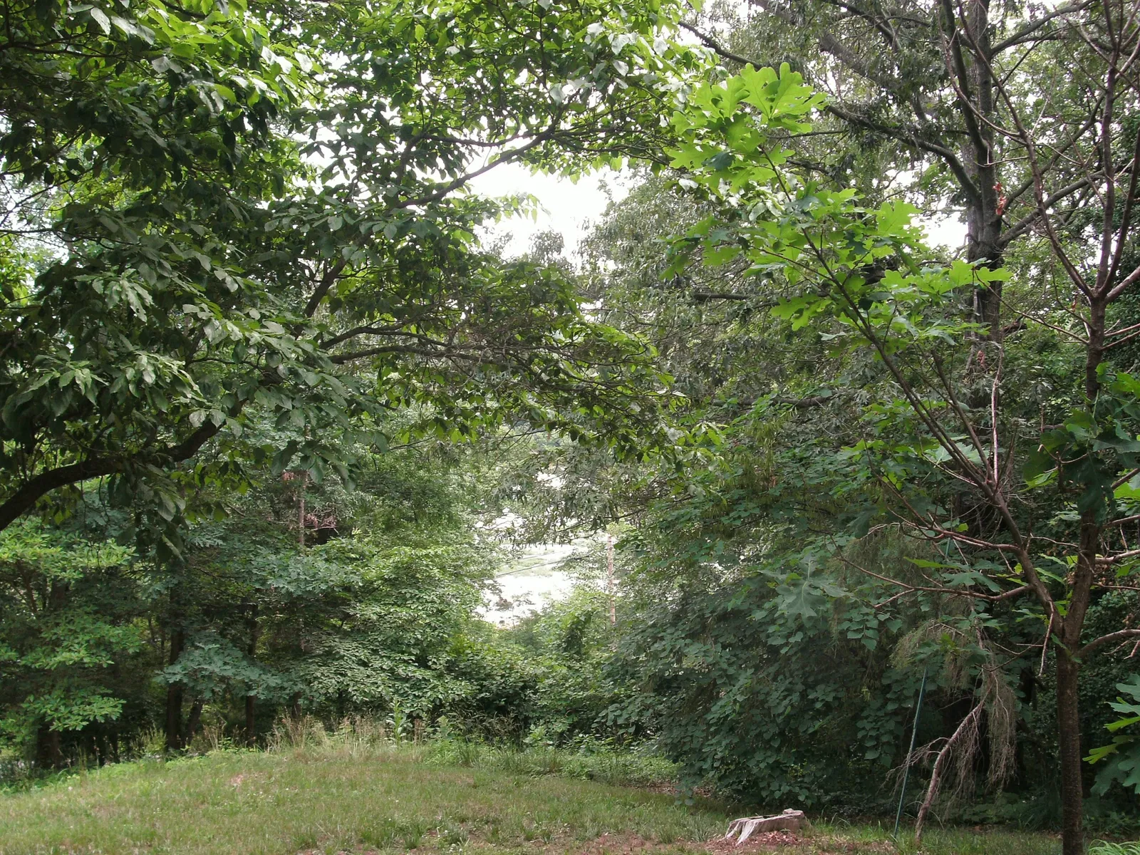 Gari Melchers Home and Studio