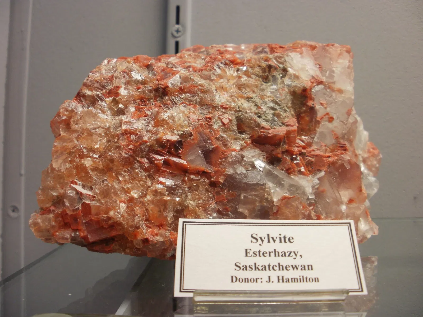 A.E. Seaman Mineral Museum