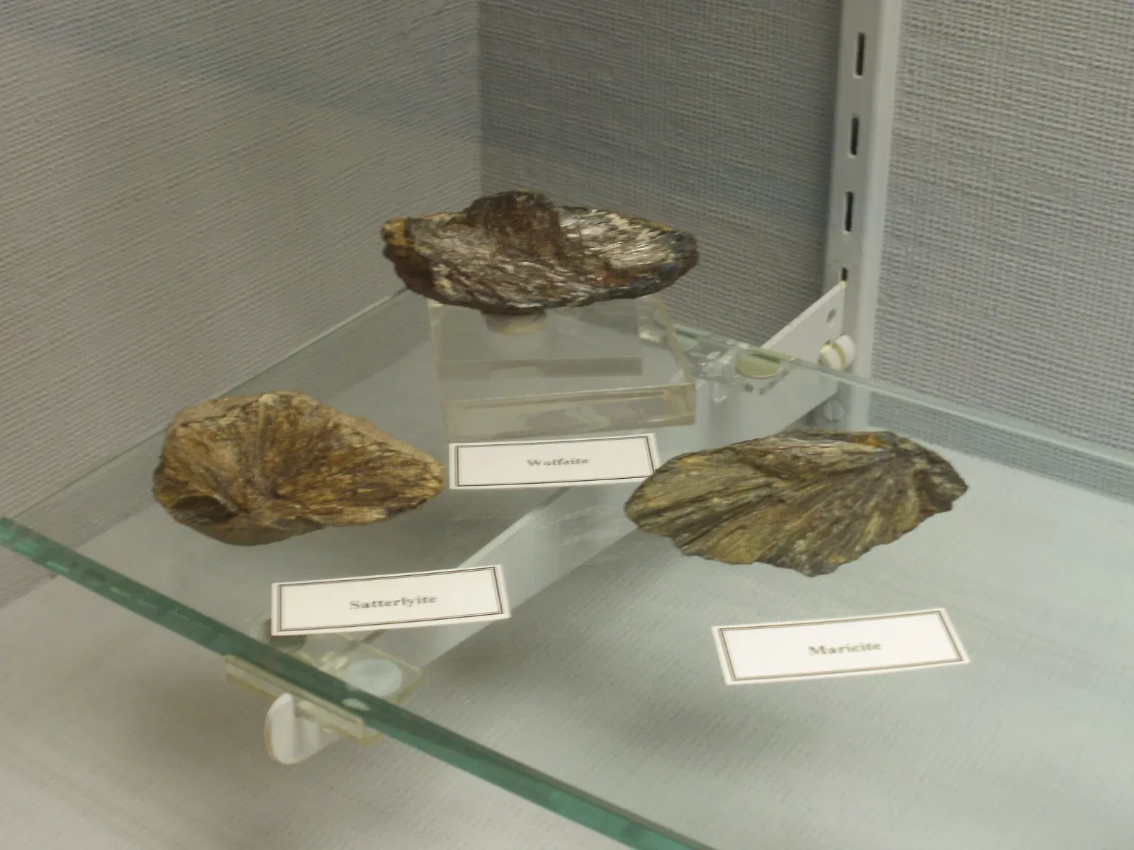 A.E. Seaman Mineral Museum