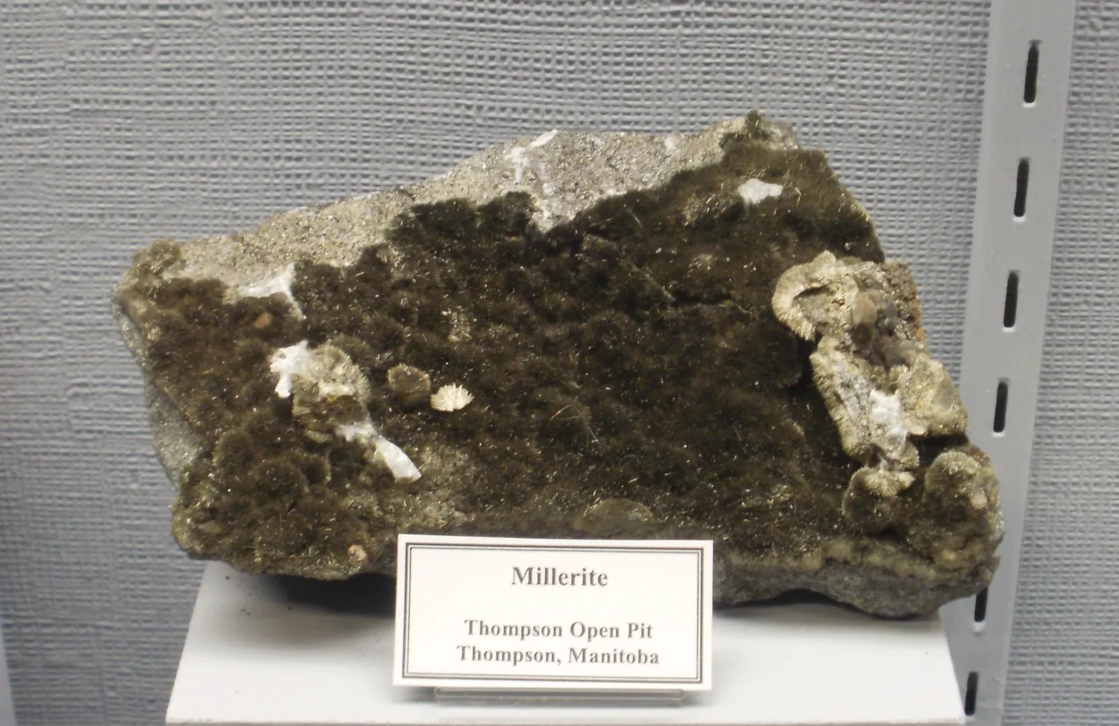 A.E. Seaman Mineral Museum