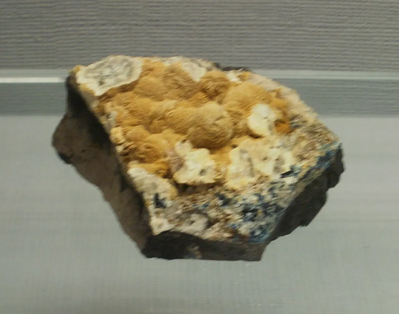 A.E. Seaman Mineral Museum