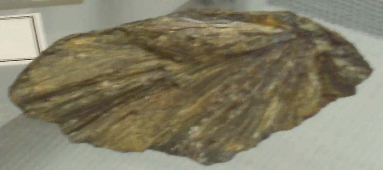 A.E. Seaman Mineral Museum