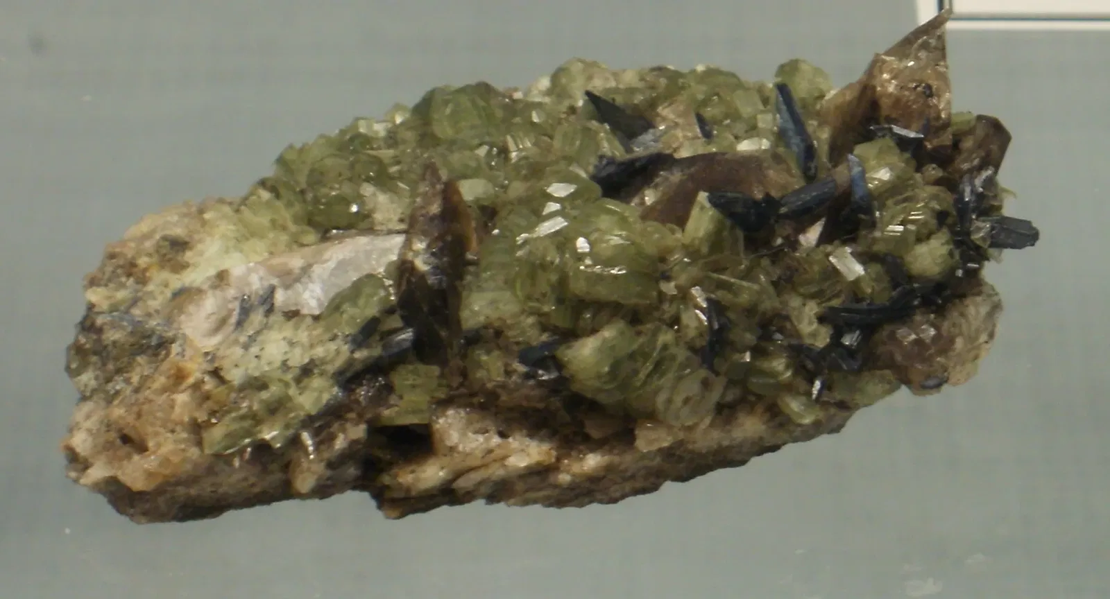 A.E. Seaman Mineral Museum