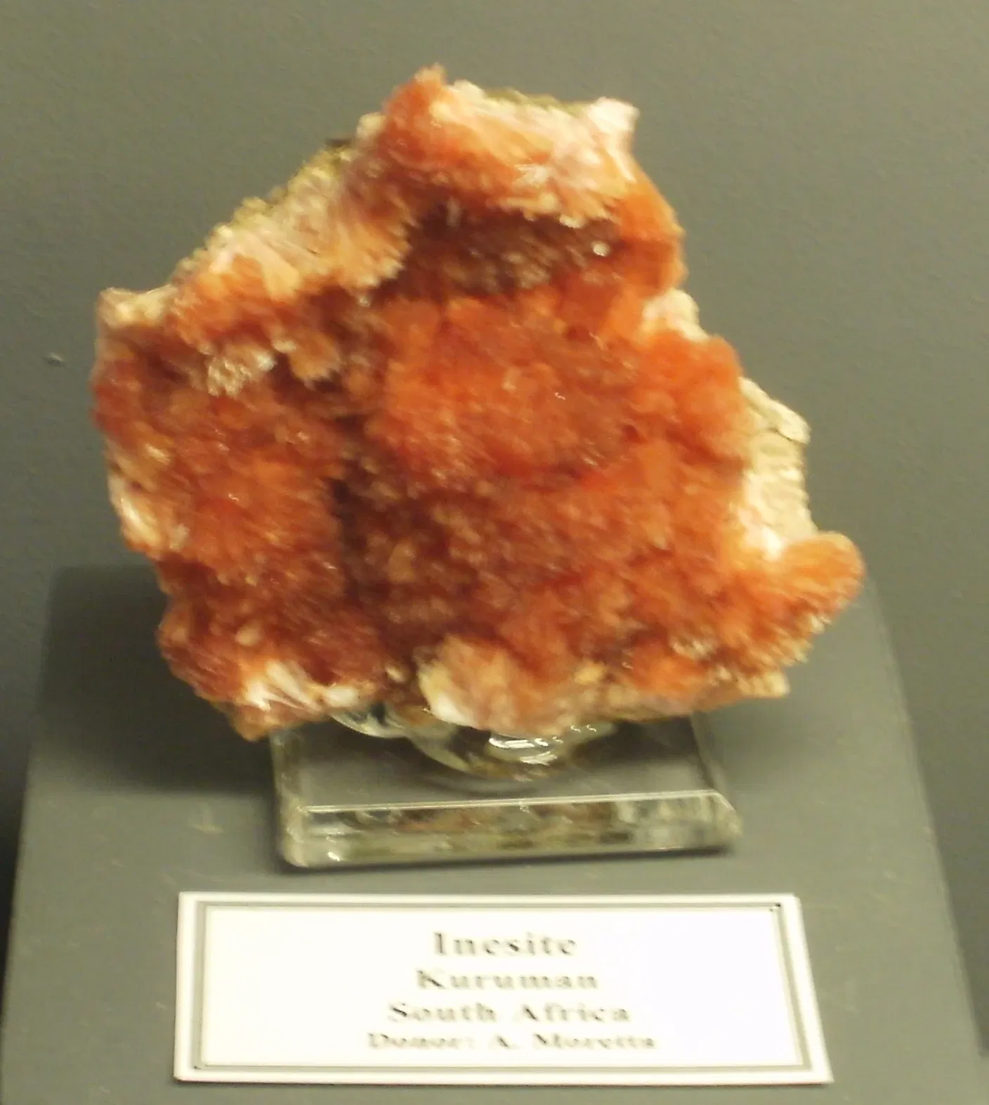 Museo Mineral de A. E. Seaman