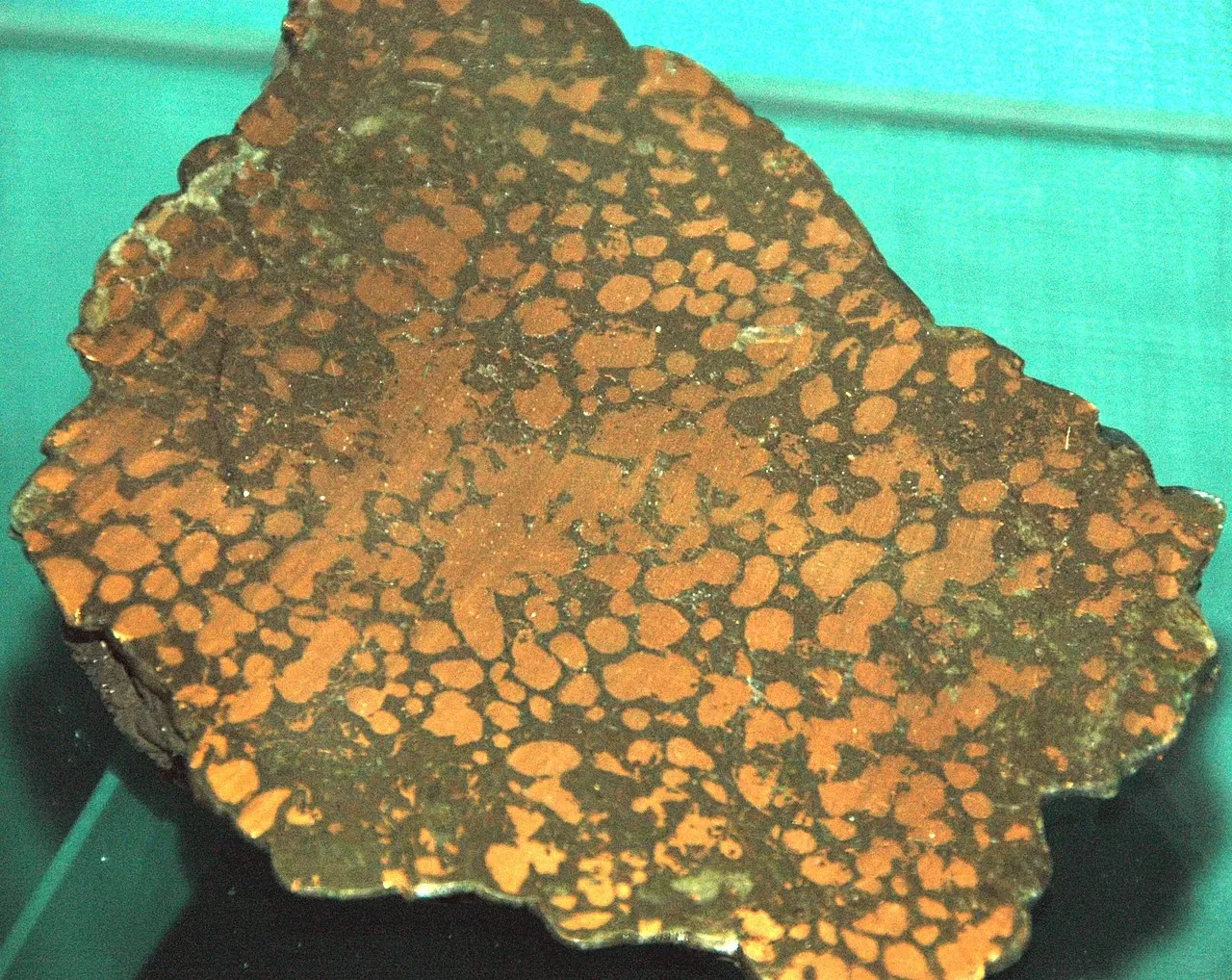 Museo Mineral de A. E. Seaman