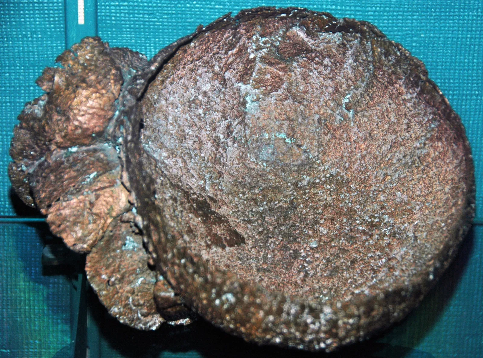 Museo Mineral de A. E. Seaman