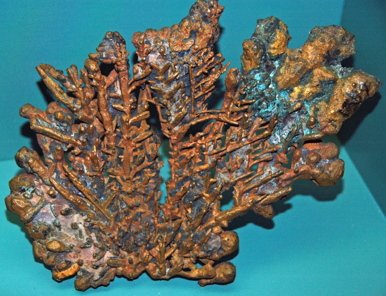 Museo Mineral de A. E. Seaman