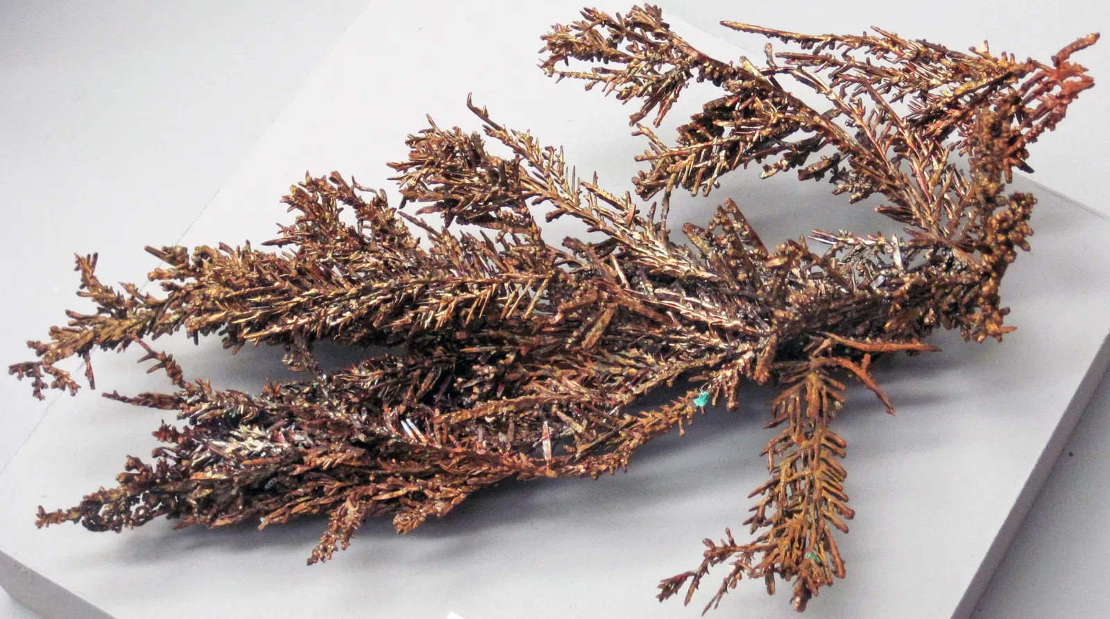 Museo Mineral de A. E. Seaman