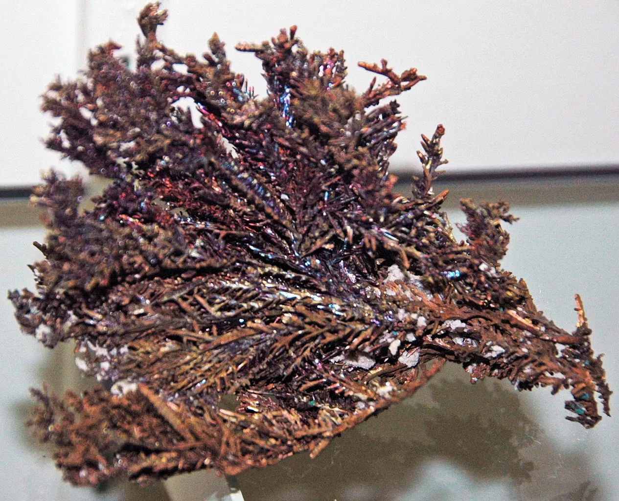 A.E. Seaman Mineral Museum