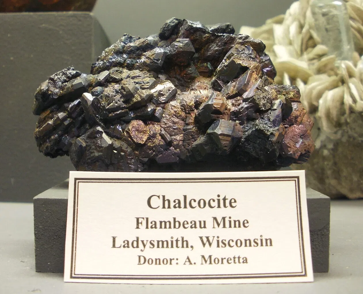 Museo Mineral de A. E. Seaman