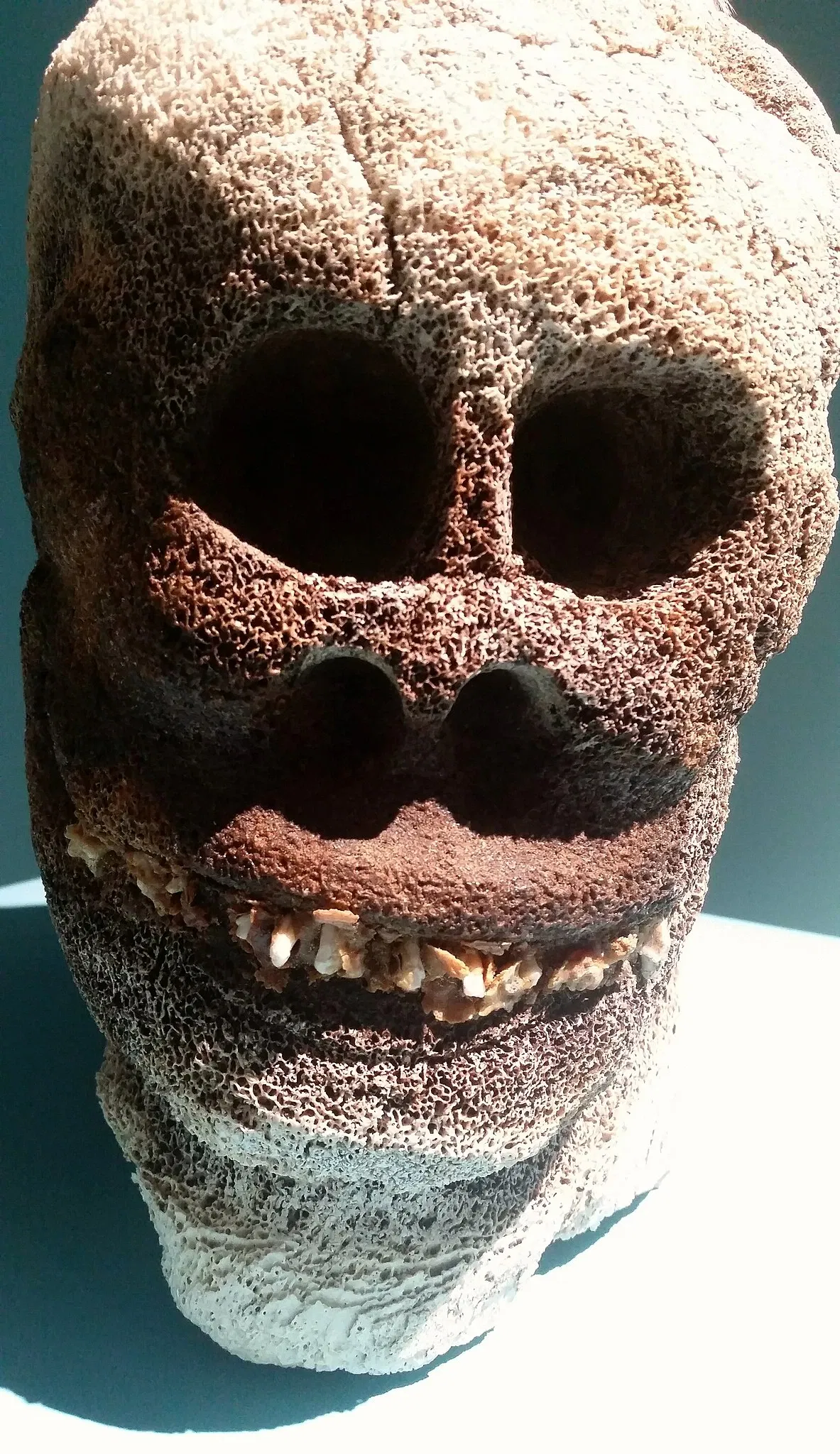 Galería de arte Winnipeg