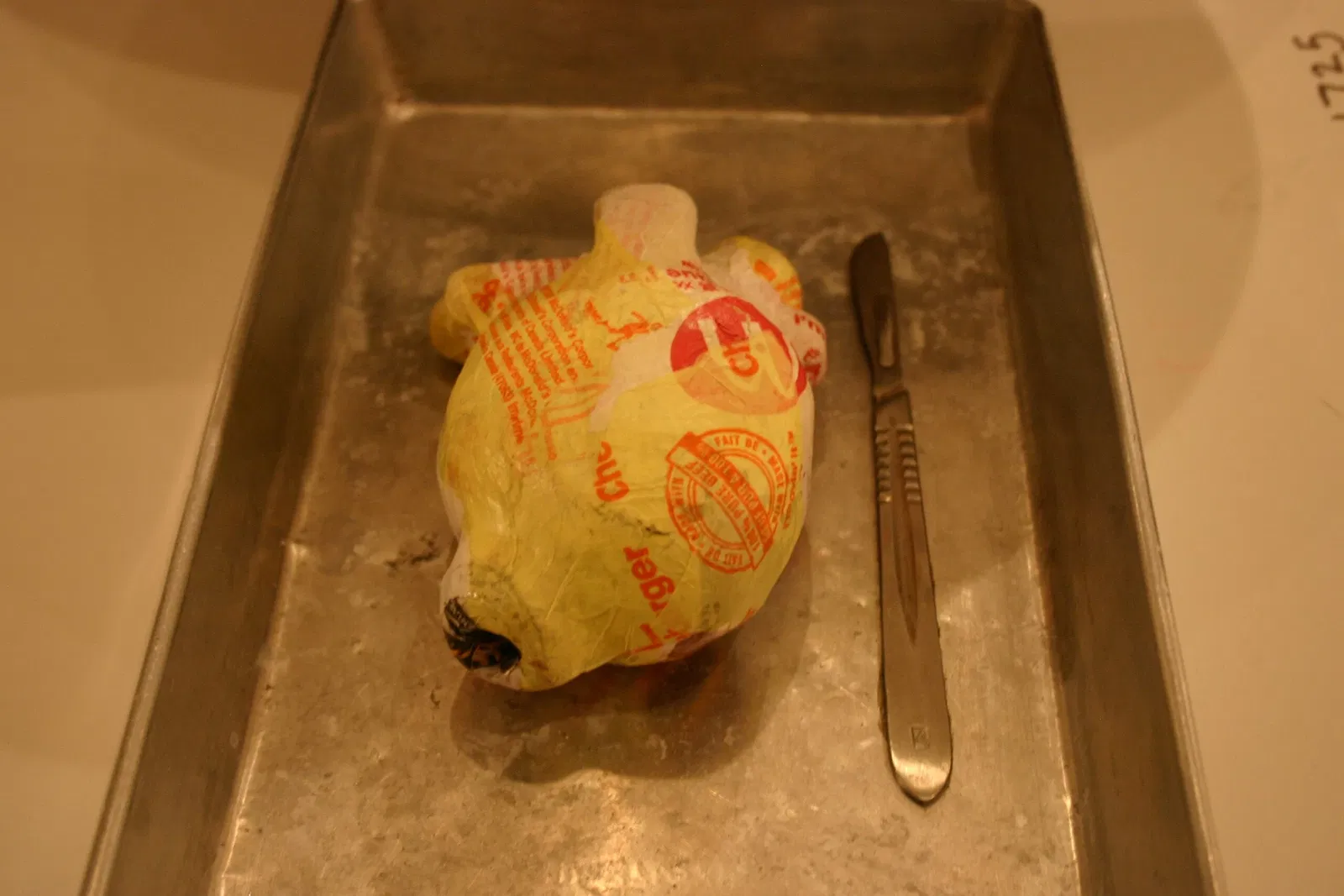 Galería de Arte de Alberta