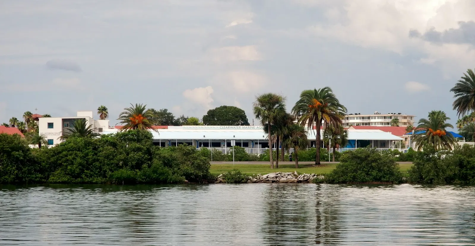 Clearwater Marine Aquarium