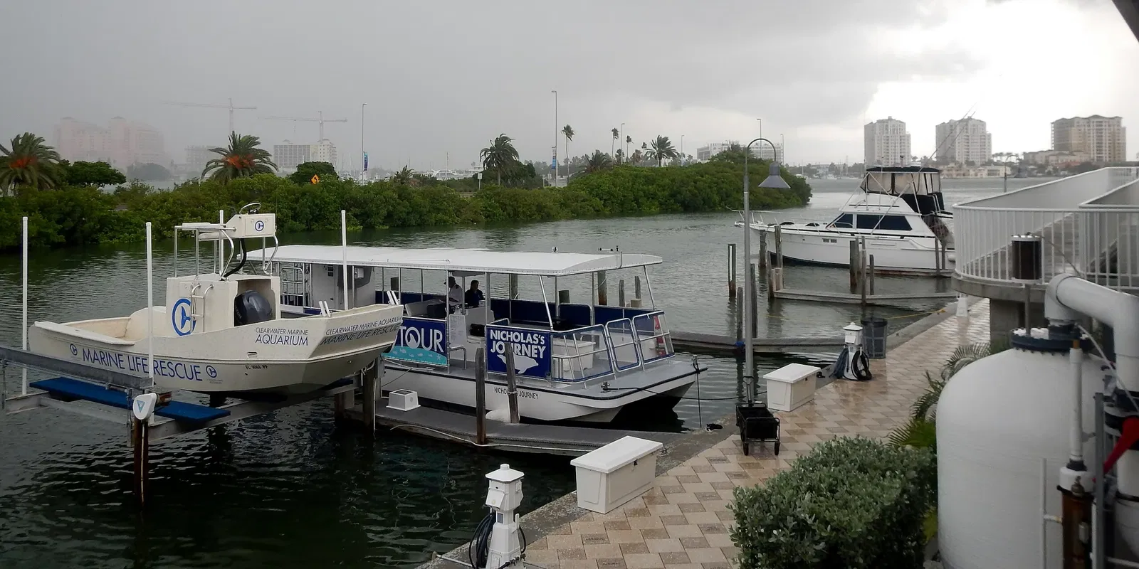 Clearwater Marine Aquarium