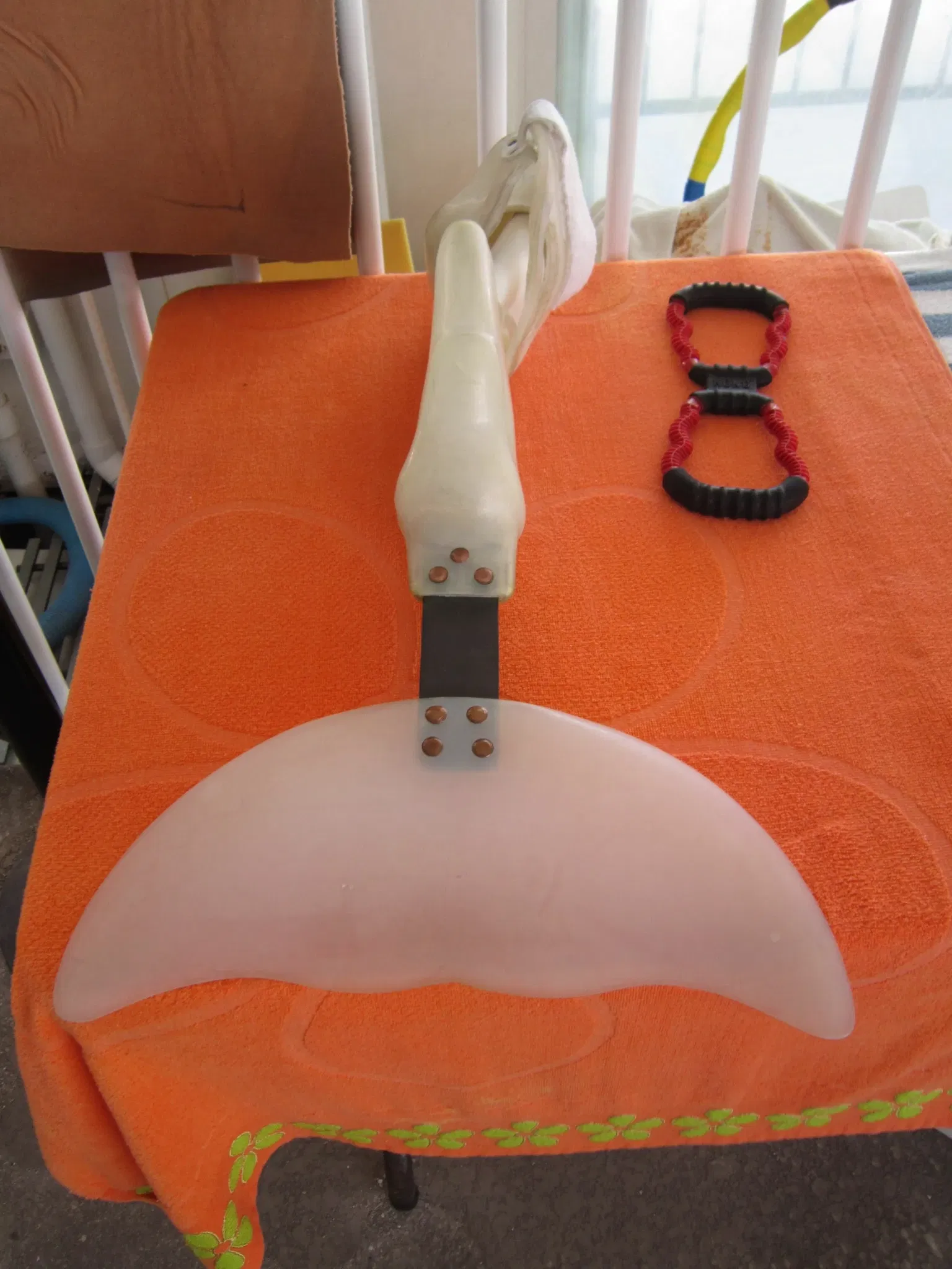 Clearwater Marine Aquarium