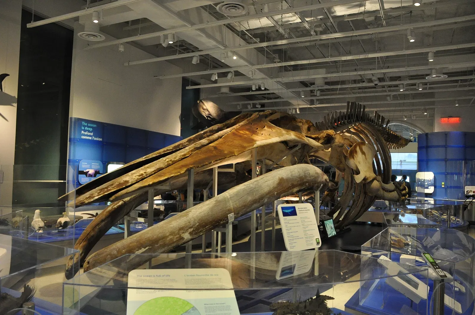 Canadian Museum of Nature