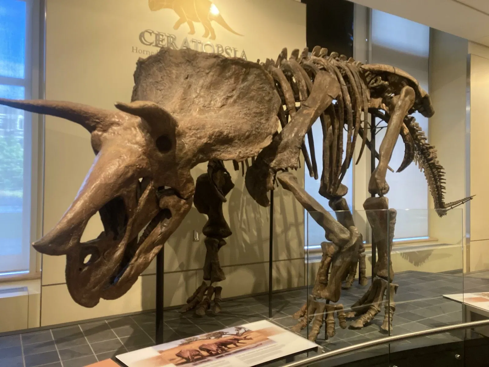 Canadian Museum of Nature