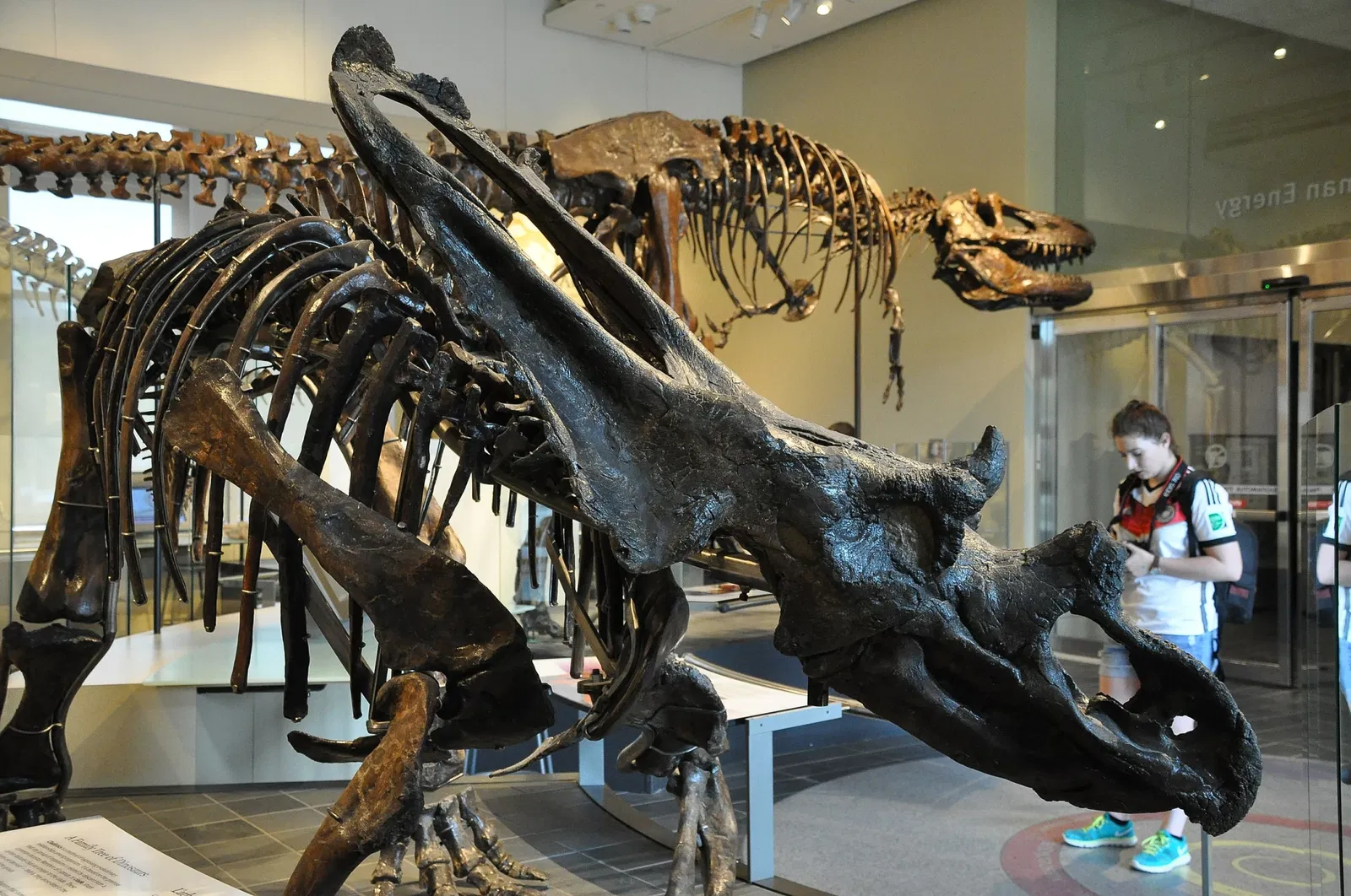 Canadian Museum of Nature